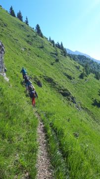 tabor HB 22 (12)